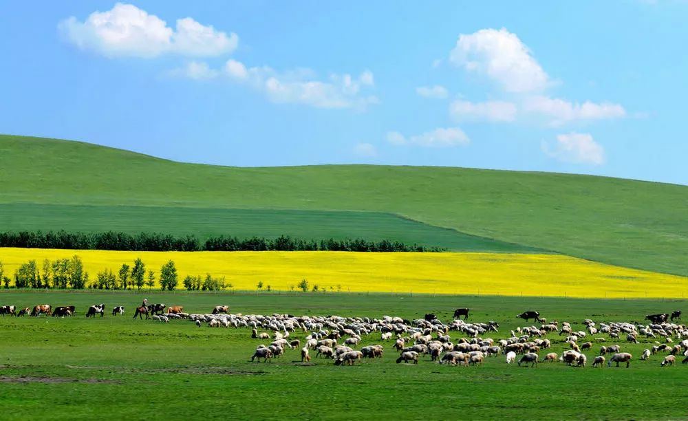 内蒙古，草原之魂，商机无限之地