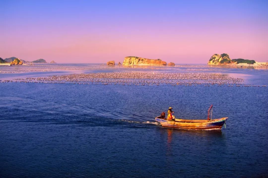 辽宁日报聚焦辽宁发展动态