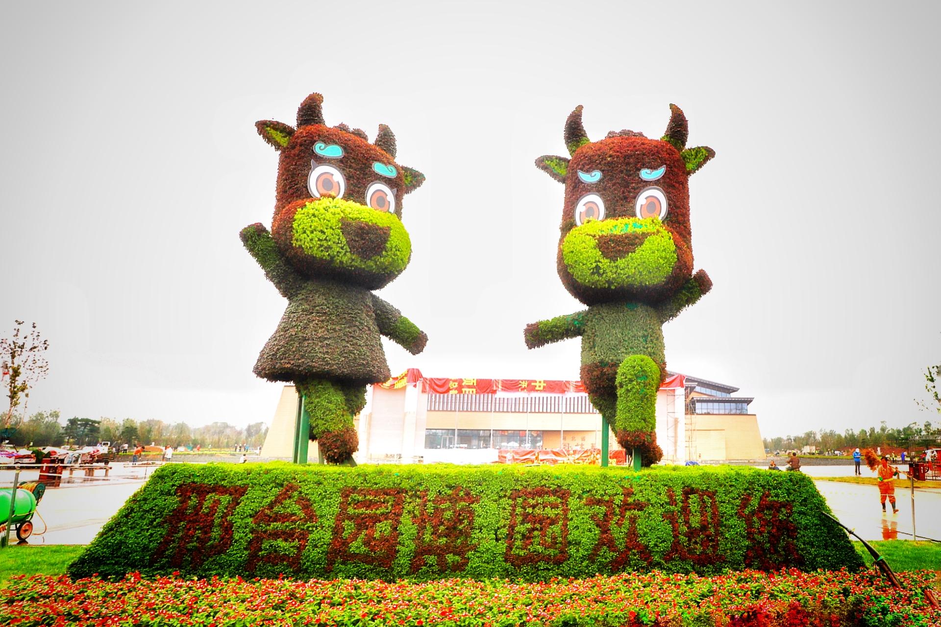 邢台盛邀各界嘉宾与朋友们共襄盛举