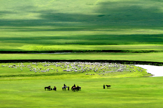 呼伦贝尔,草原的诗篇,自然的颂歌🍃